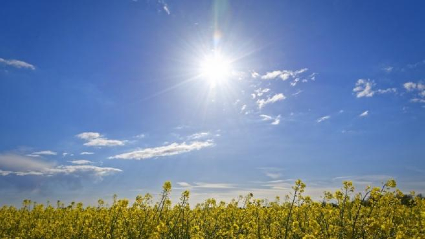 Este fin de semana se recupera la temperatura, por las noches vuelve el frio
