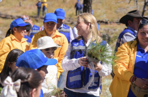 Impulsa Maru Campos la reforestaci&oacute;n en la tarahumara