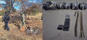 Asegura SSPE municiones y supuesta droga en campamento en el municipio de Madera
