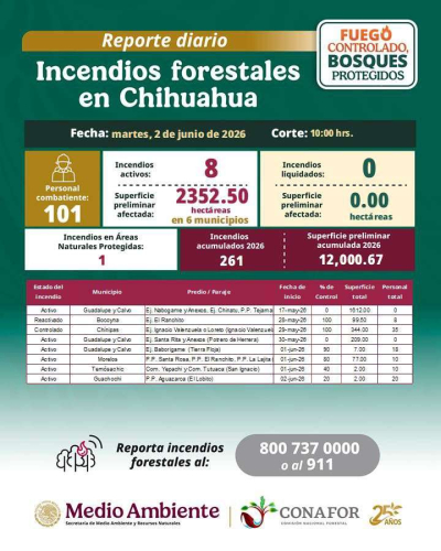 Afectan incendios 12 mil hectáreas en la Sierra Tarahumara