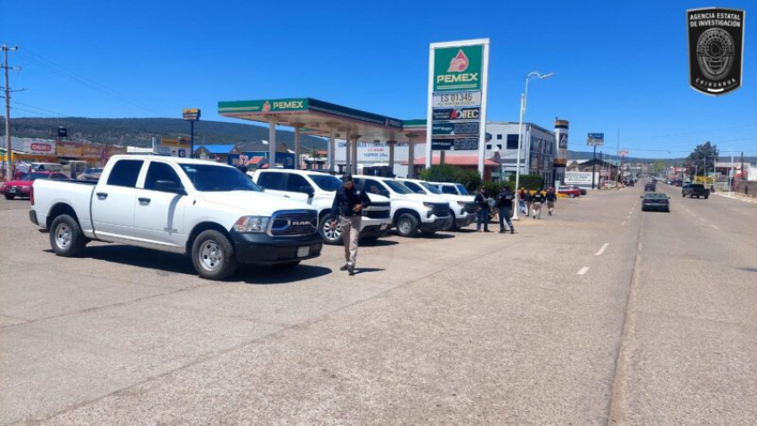 Fiscal&iacute;a realiza pega de pesquisas en Madera
