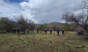 Seguimiento a rastreo en La Noria, permiti&oacute; localizar una osamenta