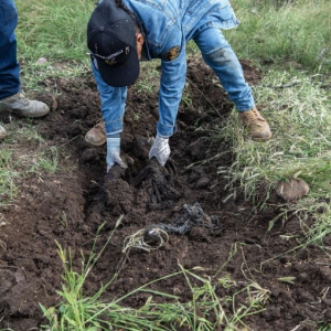 Buscan mas restos &oacute;seos calcinados en Bocoyna