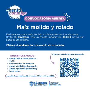 Abren convocatoria de apoyo de ma&iacute;z para productores pecuarios