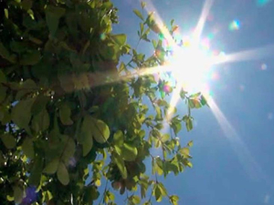 Hoy dia soleado con vientos, temperatura calida