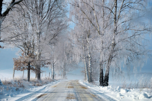 Registran intensa nevada en el municipio de Madera