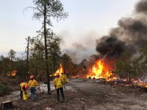 Incendios forestales en Guerrero y Madera destruyen hect&aacute;reas