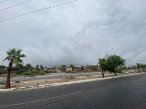 Prev&eacute;n cambios bruscos en la temperatura, m&aacute;xima de 24 grados