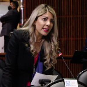 Reforma electoral sin inter&eacute;s por crimen organizado: Daniela Alvarez
