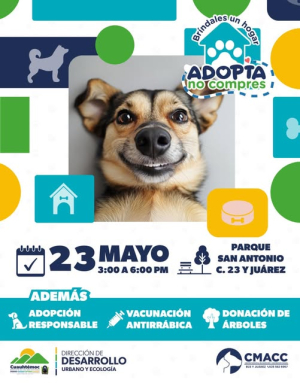 Este s&aacute;bado adopta una nueva mascota