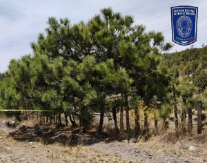 Encuentran hombre sin vida en r&uacute;a San Juanito-Maguarichi.