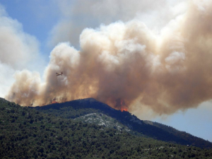 Controlan incendios forestales en la sierra